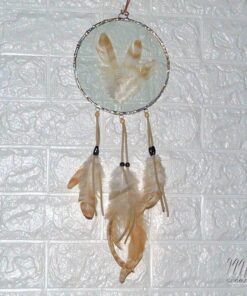 Décoration murale verre et plumes