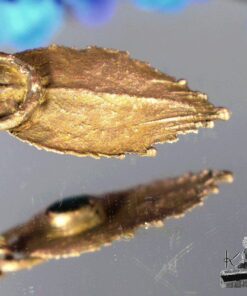 Pendentif Hafgan - feuille naturelle cuivrée et labradorite – Image 3