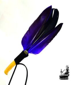 Plume de fumigation Kanda noir et violet avec labradorite