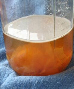 Mère de vinaigre de cidre