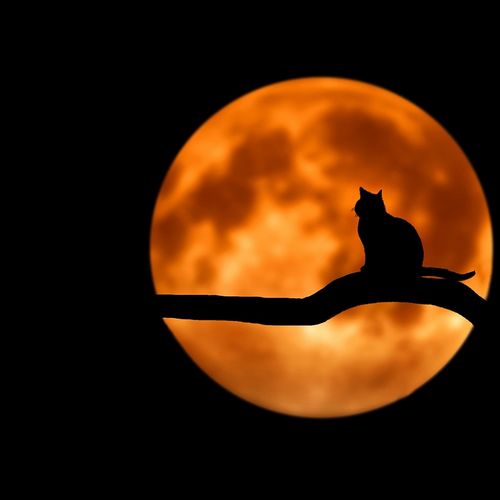 les phases de la lune