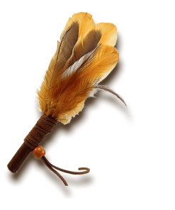 Plume de fumigation Shasta de 18 cm en plumes de coq naturelles avec manche en bois de noisetier et suédine.